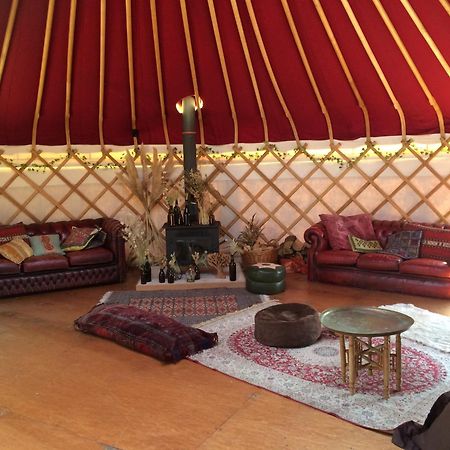 Silver Airstream Glamping & Rental Chichester Bagian luar foto