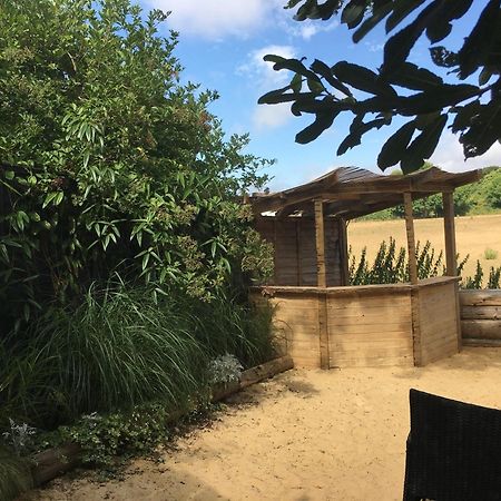 Silver Airstream Glamping & Rental Chichester Bagian luar foto