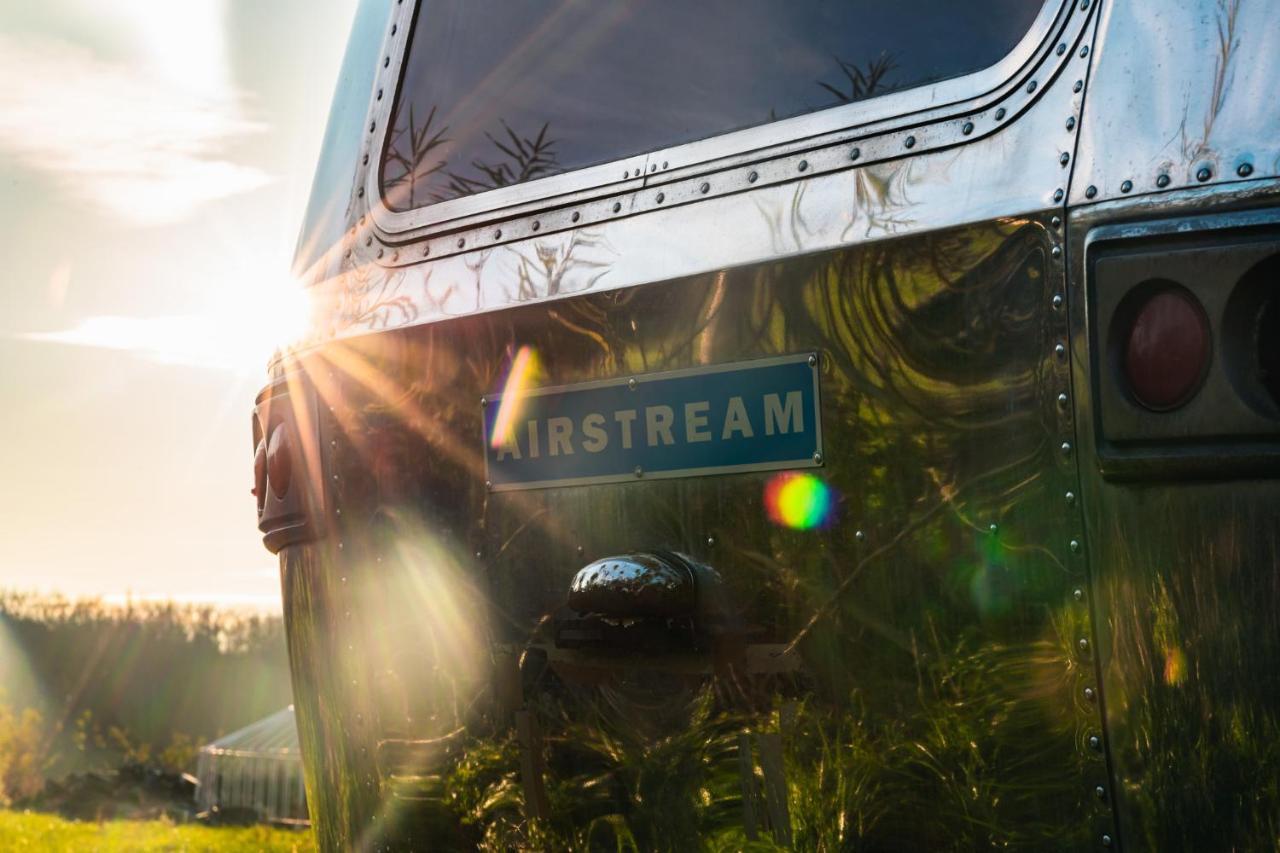Silver Airstream Glamping & Rental Chichester Bagian luar foto