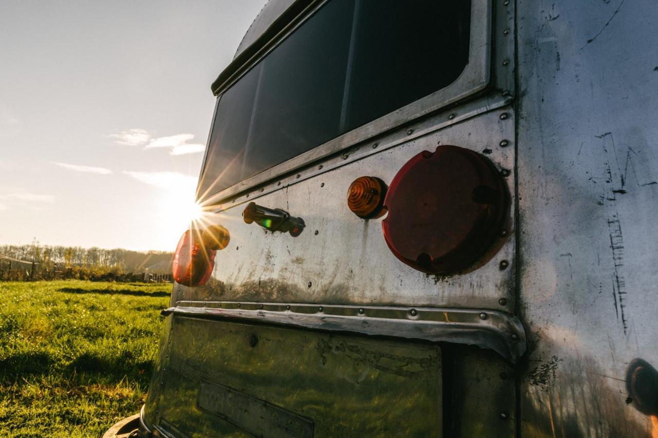 Silver Airstream Glamping & Rental Chichester Bagian luar foto
