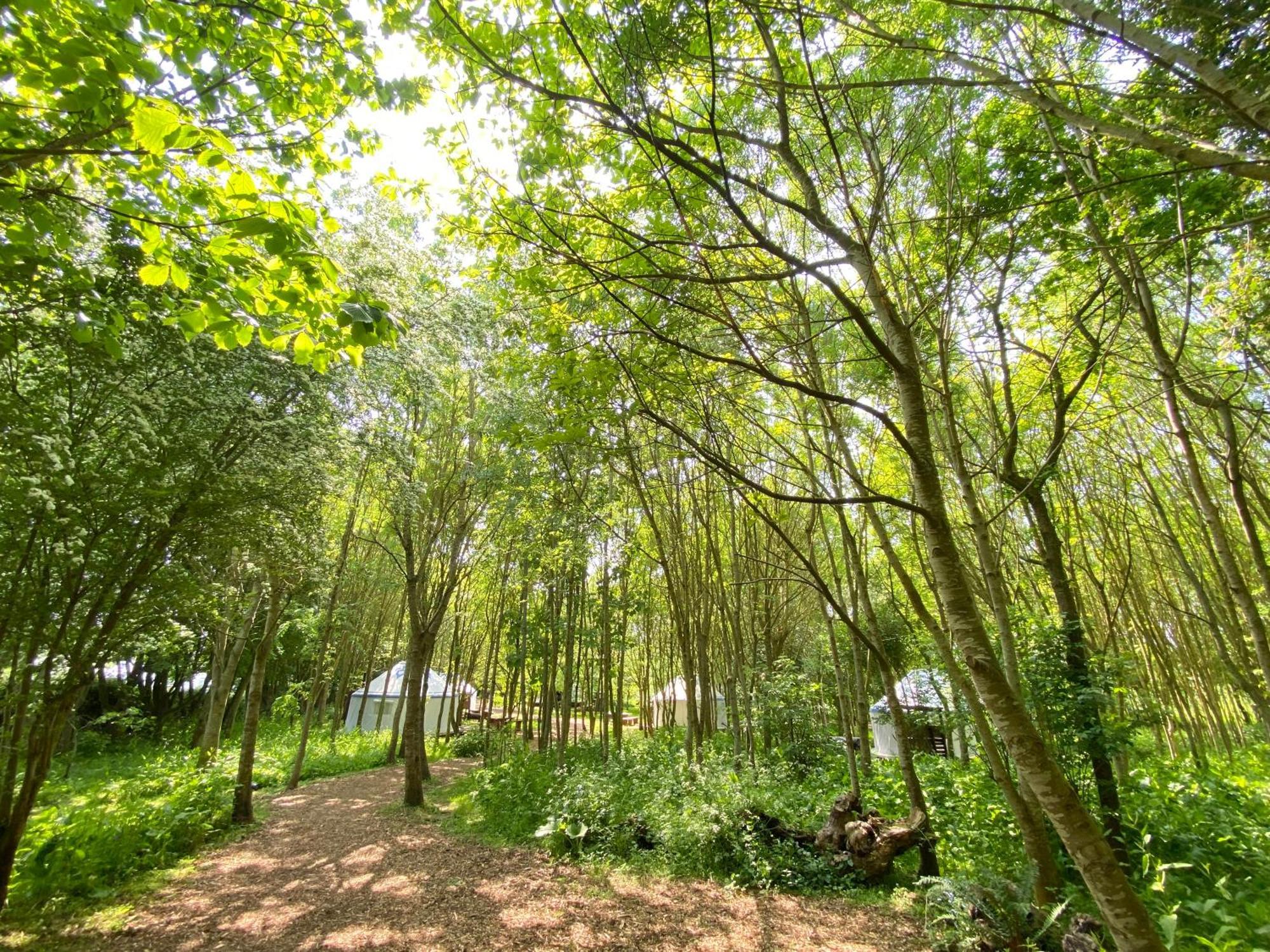 Silver Airstream Glamping & Rental Chichester Bagian luar foto